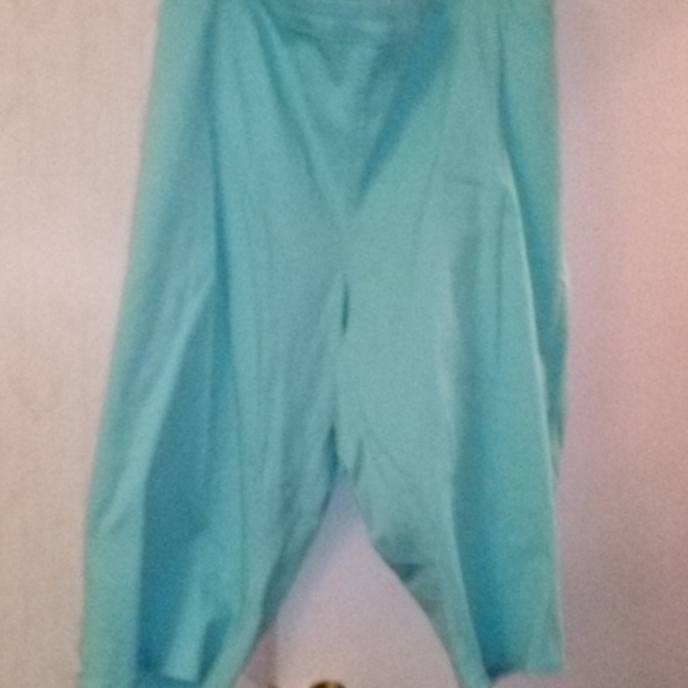 Catherines Baby blue Capri size 5x